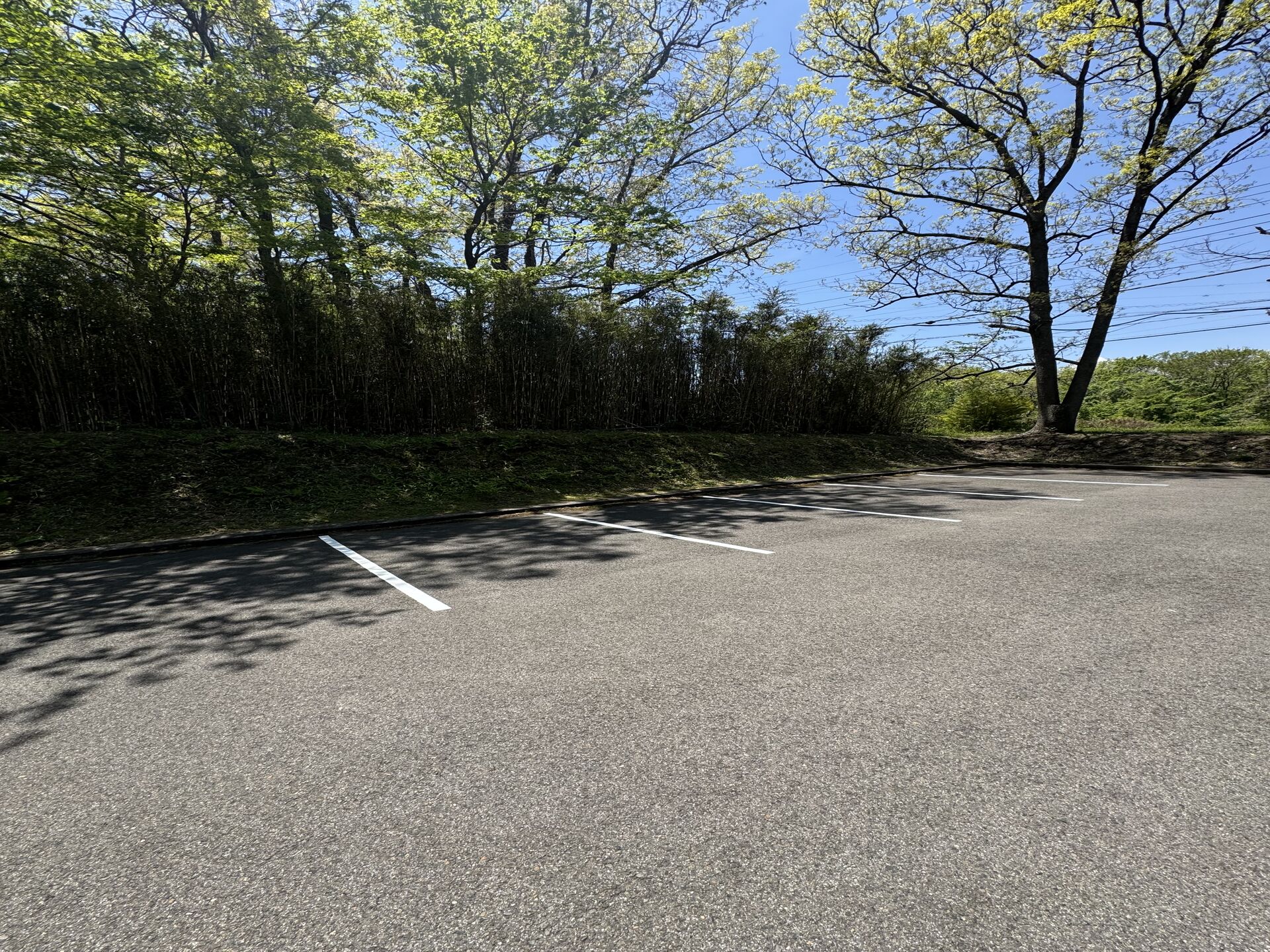 間仕切り壁工事でできる理想の空間づくり